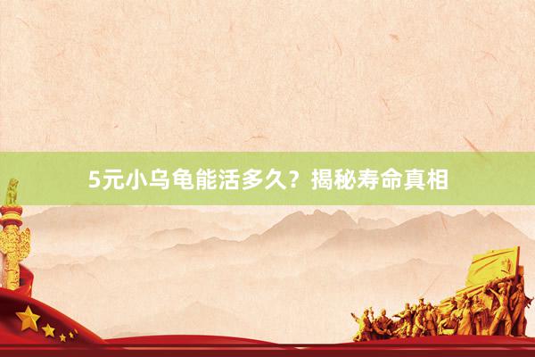 5元小乌龟能活多久？揭秘寿命真相