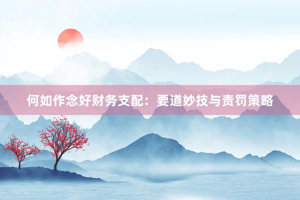 何如作念好财务支配:要道妙技与责罚策略